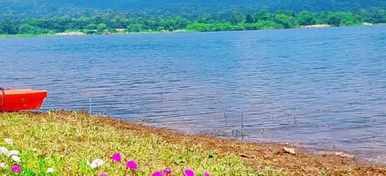 鄰近THE VOGUE的酒店