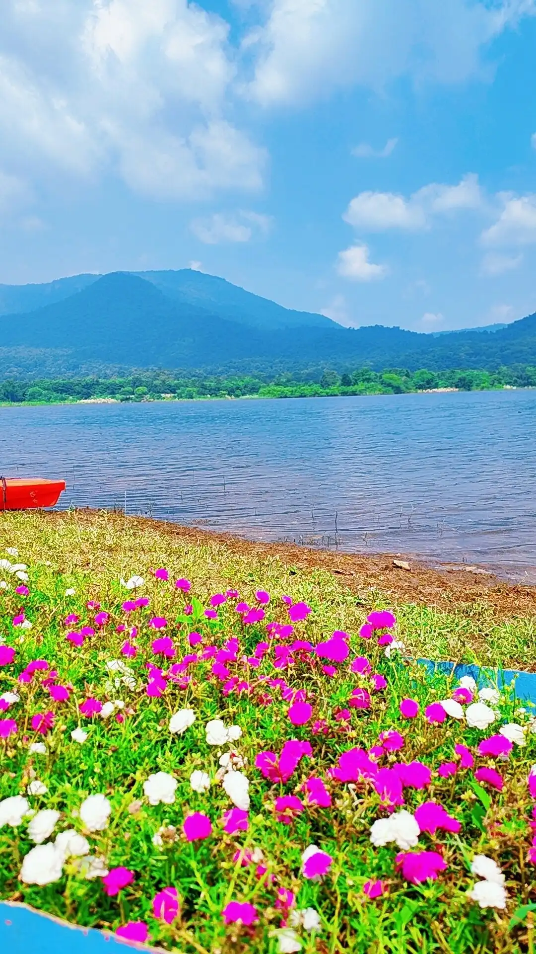 Hotels near Dimna Lake