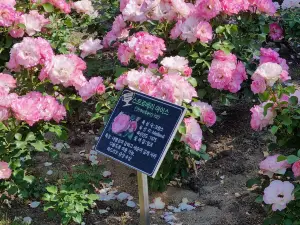 Ulsan Grand Park
