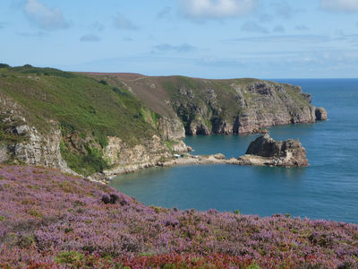 Phare du Cap Fréhel