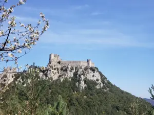 Burg Puilaurens