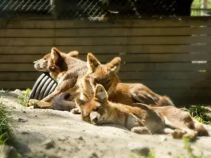 Skaerup Zoo
