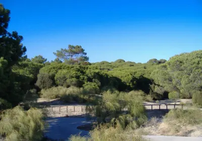 Nuevo Portil