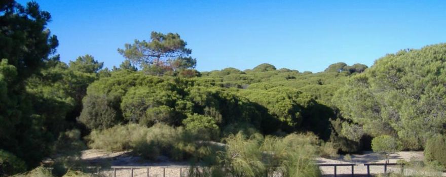 Reserva Natural Laguna de El Portil