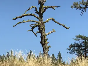 Turnbull National Wildlife Refuge