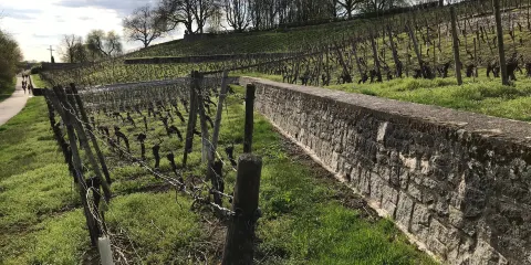 MainAppelHaus Lohrberg Streuobstzentrum e.V.