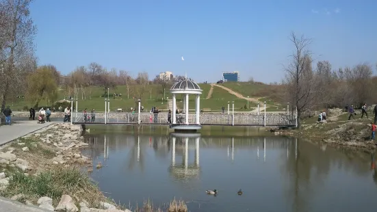 Voznesenivsʹkyy Park