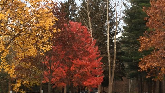 Little Pine State Park