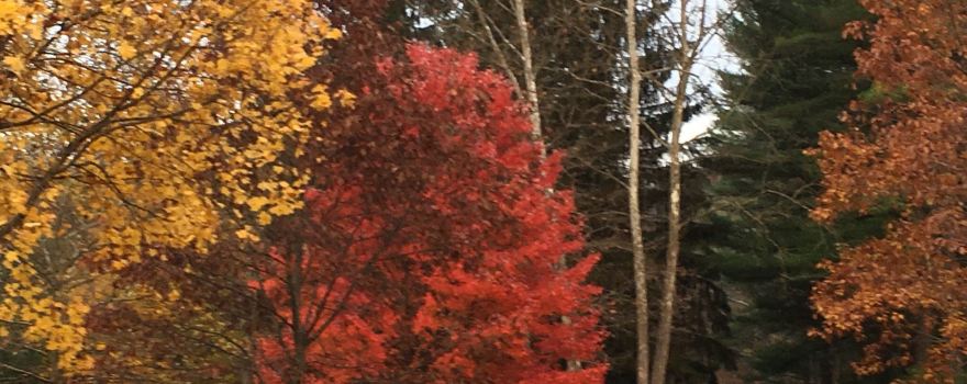 Lycoming County
