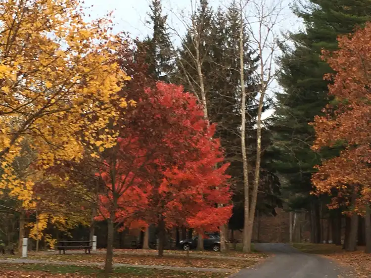 Hôtels à : Cummings Township