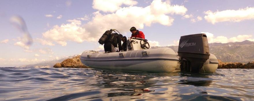 Connex diving