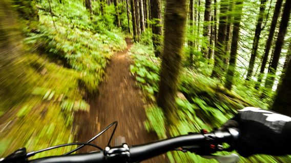 Island Mountain Rides