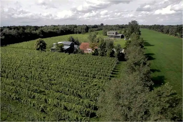 Hôtels à : Twijzel