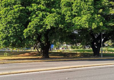 Maracay