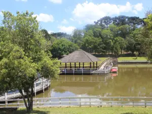 Parque das Araucárias