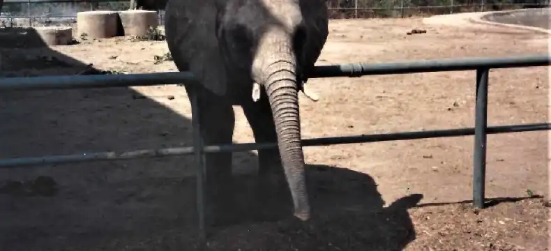 فنادق في جوس