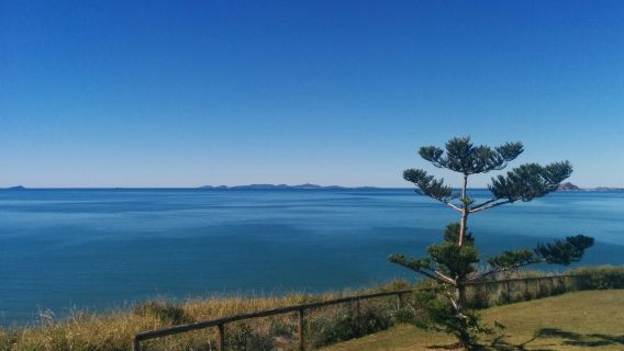Spring Head Lookout