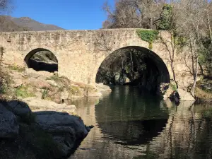Puente De Cuartos