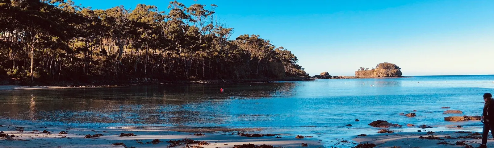Eaglehawk NeckBoat experiences
