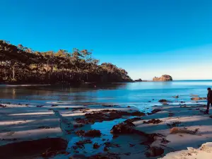 Tessellated Pavement