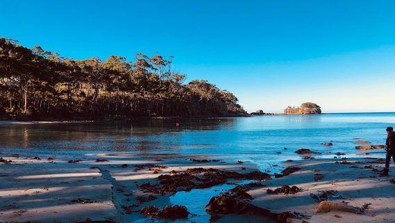 Tessellated Pavement