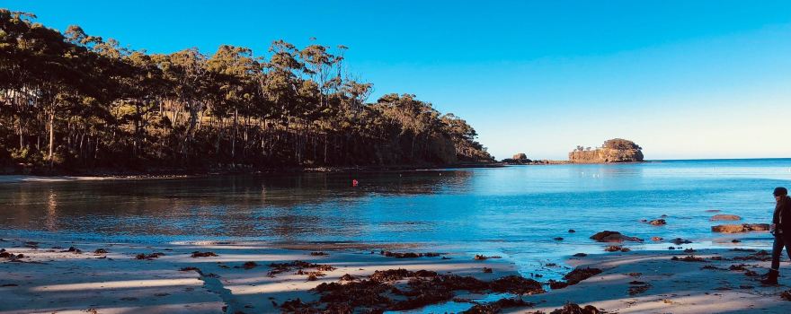 Tessellated Pavement