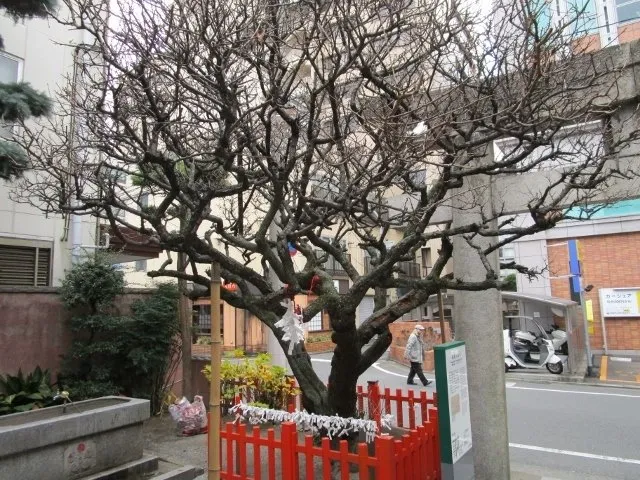 4_Tsunashiki Tenmangu