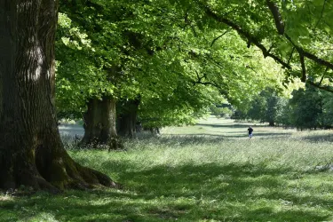 Tring Park
