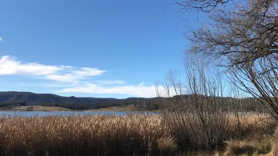 Lake Wallace