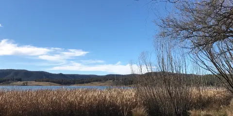 Lake Wallace