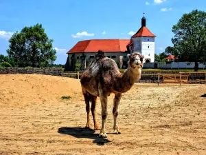 Hrvatska Sahara
