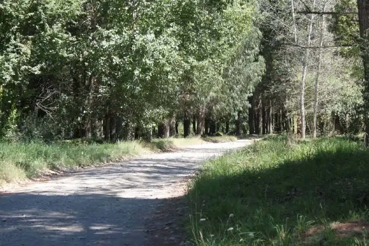 Hôtels à : Pitrufquén