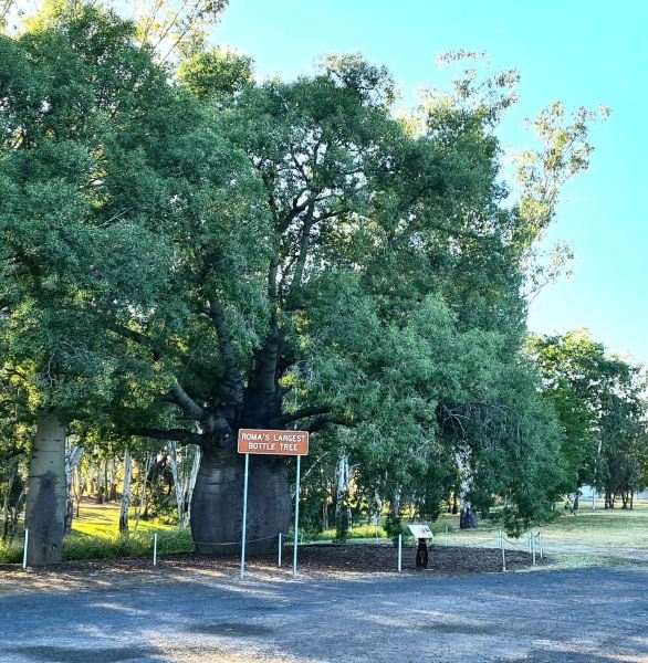 Πτήση Brisbane προς Roma