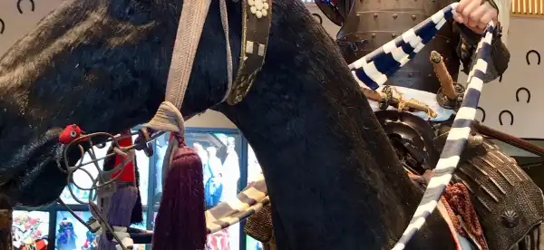 Hotéis em Minamisoma