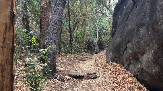 Anbangbang Rock Shelter