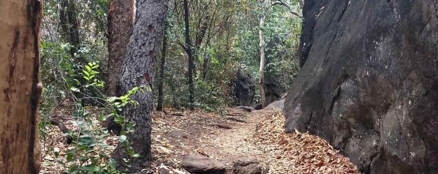 Anbangbang Rock Shelter