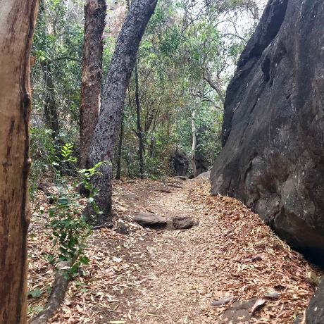 Anbangbang Rock Shelter