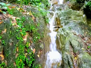 DHOR BARAHI MANDIR ढोरबाराही मन्दिर
