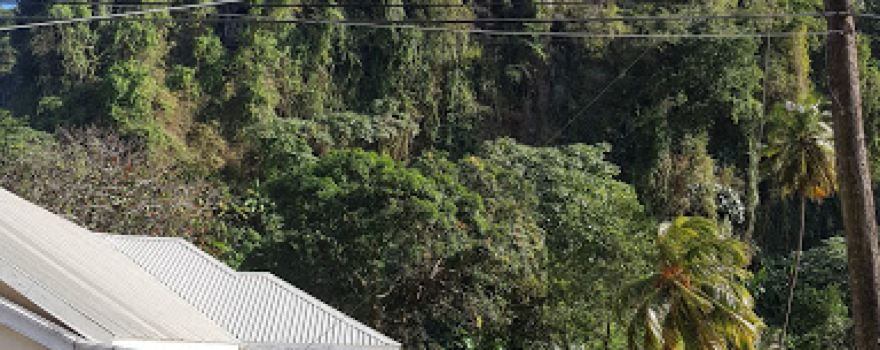 Mesopotamia Adventist Church
