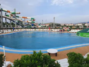 Aqua Parc Octopus Tamda