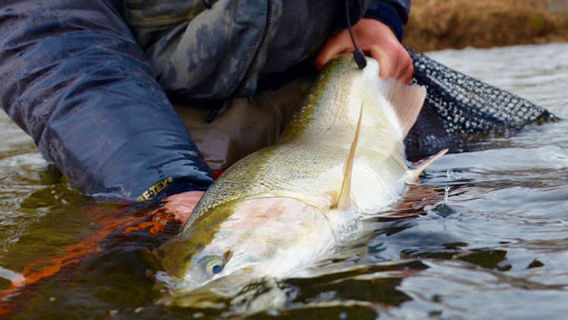 Nautical West Sport Fishing