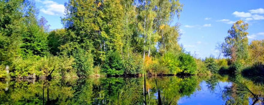 Marfinskiy Park