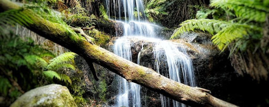 Cascade waterfall