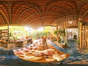 Art studio Mangue Marajó