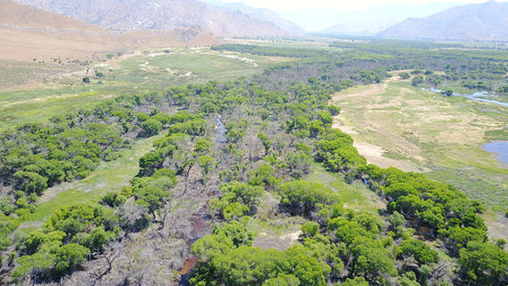South Fork Wildlife Area