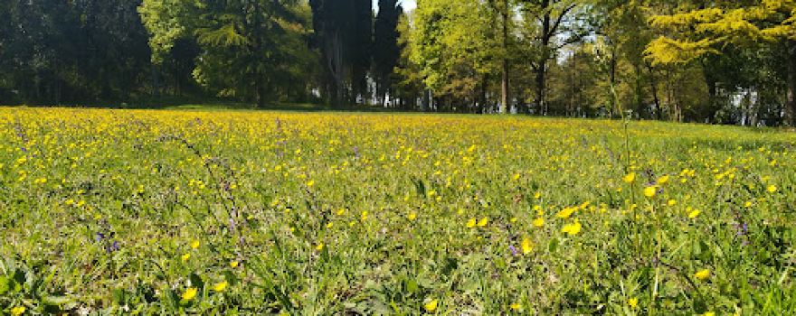 Parco dell'Ossario