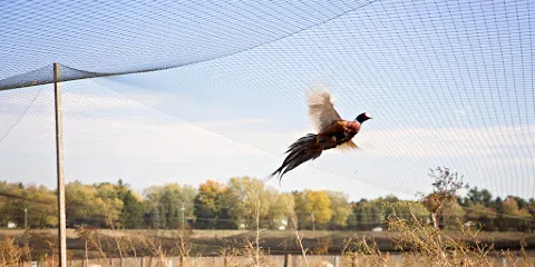 Mac Farlane Pheasant Farm