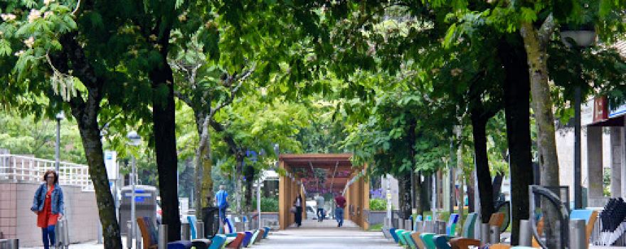 Youth Park