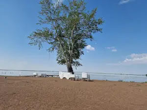 Zhaltyrkol