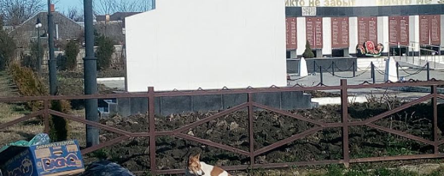 Вечный Огонь